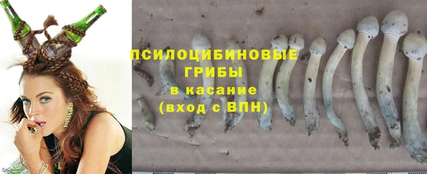 хмурый Алексеевка