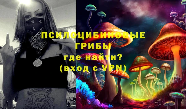 крисы Алексин
