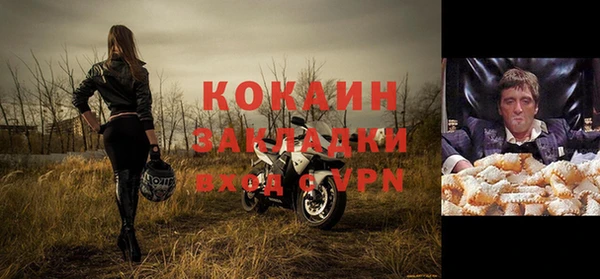 индика Абинск