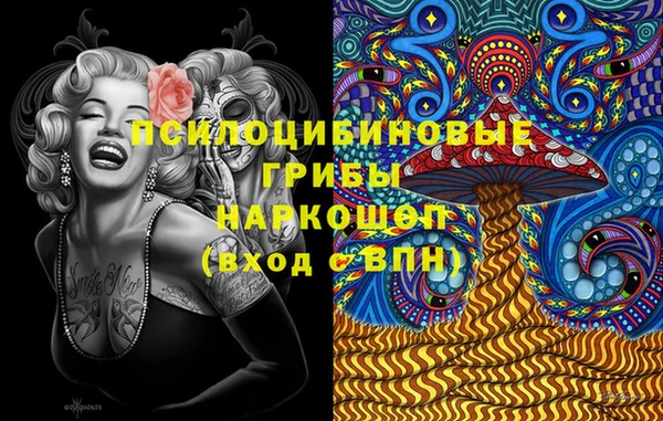 хмурый Алексеевка
