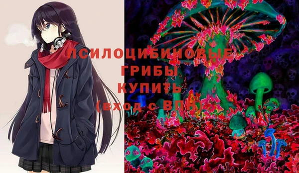 крисы Алексин