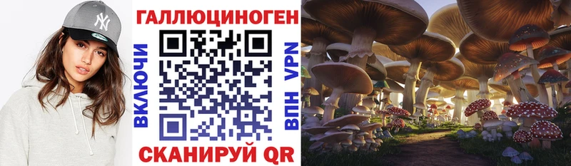 Псилоцибиновые грибы Cubensis Сухиничи