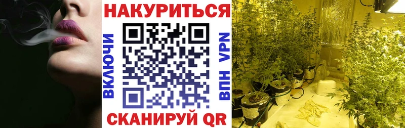 Бошки марихуана планчик  Сухиничи 